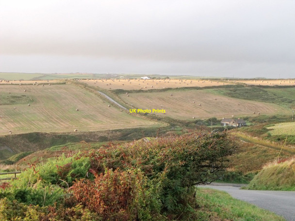 Photo 6"x4" Grain harvest scene in fields north of Druidston Druidston c2010