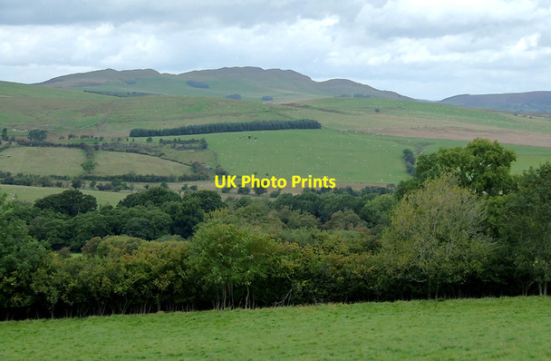 Photo 6"x4" Woodland and farmland north-east of Hundred House, Powys Frank's Bridge c2010