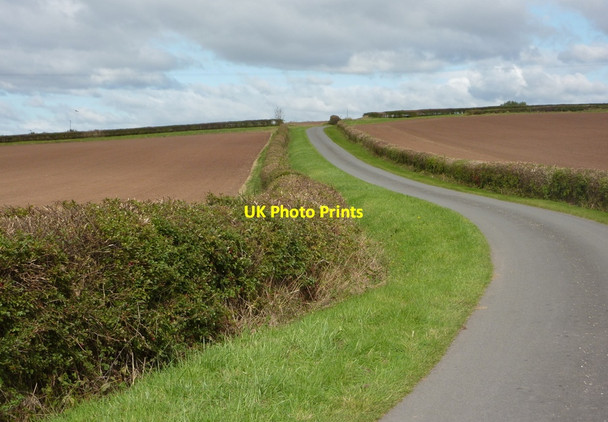 Photo 6"x4" Looking north along Wood Lane Beckingham\/SK7790 c2010