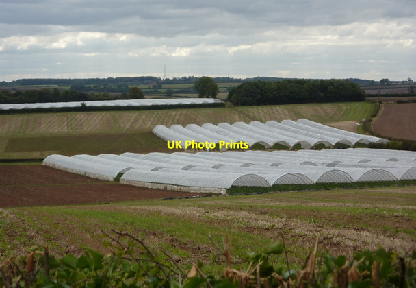 Photo 6"x4" Farmland near Wheatley Grange North Wheatley c2010