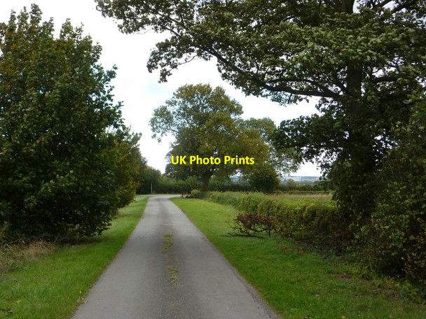Photo 6"x4" Farm track from Wheatley Grange South Wheatley\/SK7685 c2010