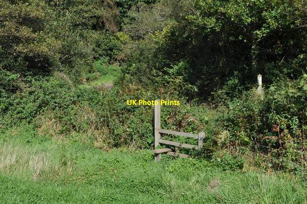 Photo 6"x4" A stile at the bottom of West Down Hill Boode c2010