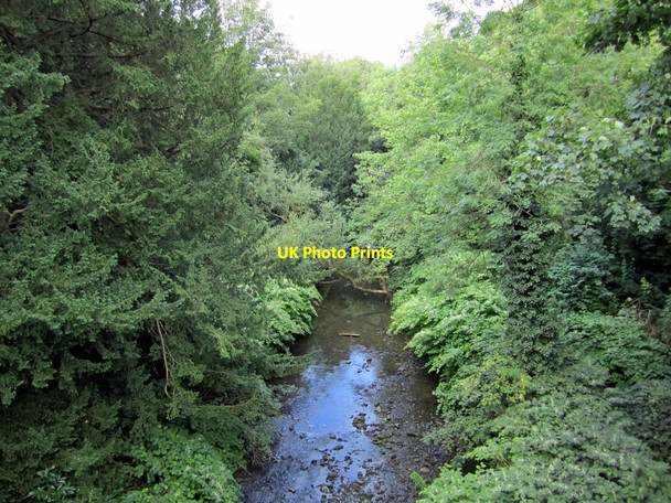 Photo 6"x4" The Ouse Burn north of Dene Bridge, Jesmond Dene Longbenton c2010