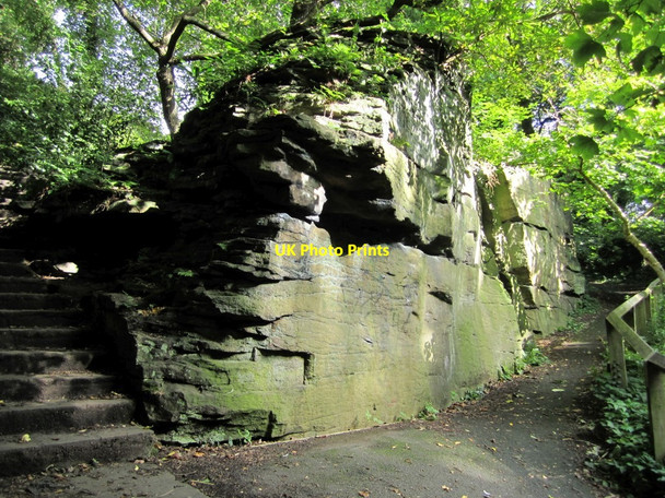 Photo 6"x4" Blackberry Crag, Jesmond Dene Longbenton c2010