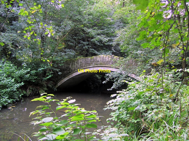Photo 6"x4" Footbridge, Jesmond Dene Longbenton c2010