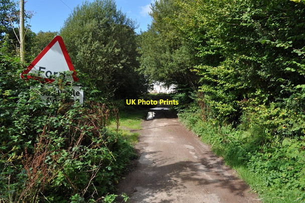 Photo 6"x4" A ford which crosses the River Caen near Stocklands Lane Nethercott\/SS4839 c2010