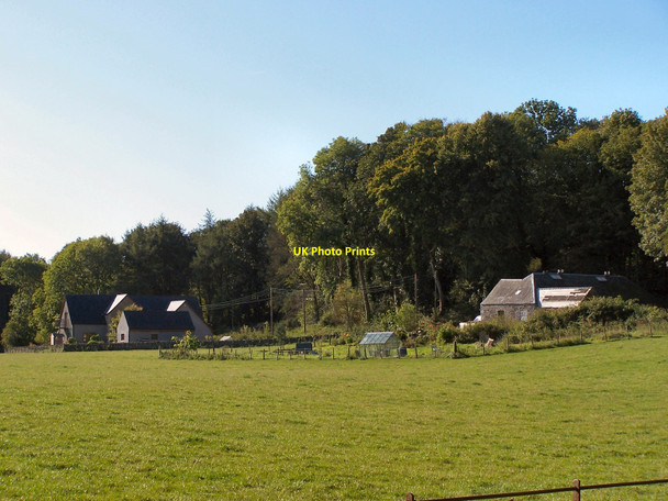 Photo 6"x4" St Mary's Isle Kirkcudbright c2010