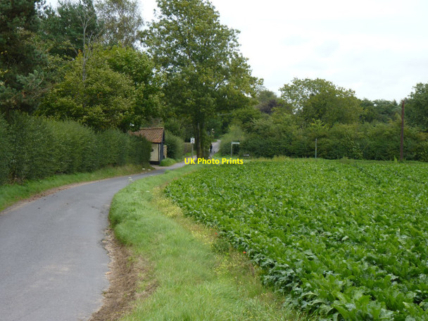 Photo 6"x4" Sunnyside farm Deopham Stalland c2010