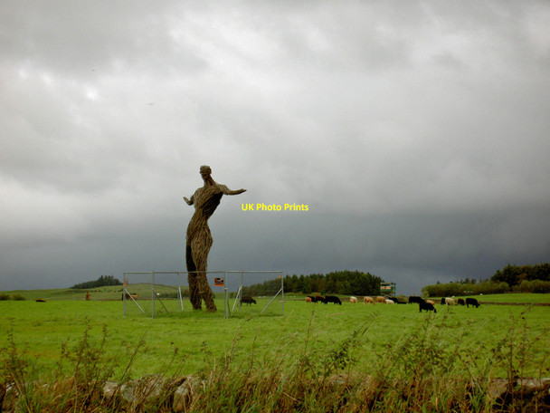 Photo 6"x4" The Wickerman Festival site Dundrennan c2010