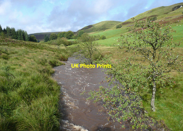 Photo 6"x4" Afon Tywi north of Dolgoch Hostel, Ceredigion Nant-ystalwyn c2010