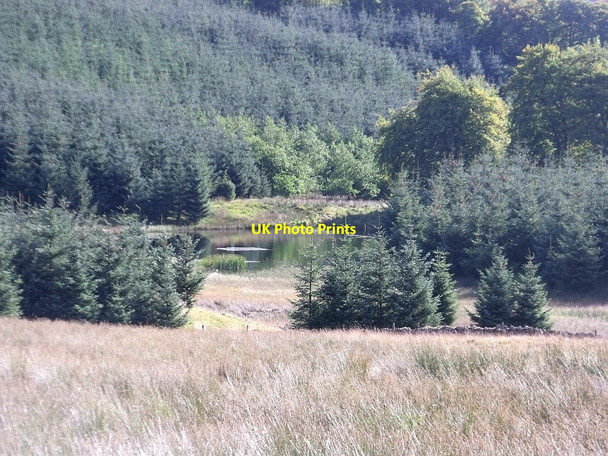 Photo 6"x4" Dundaff, lonely lochan Craigengelt Hill c2010