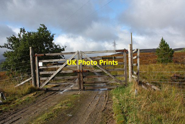 Photo 6"x4" Entrance to Overscaig Plantation Creanich c2010