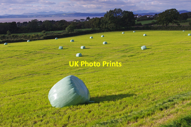 Photo 6"x4" Hay bales near Hasty Brow Road Slyne c2010