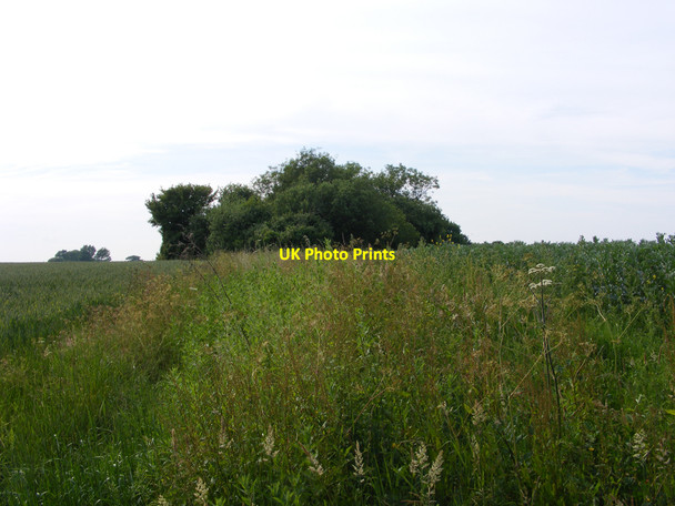 Photo 6"x4" Field boundary beside the footpath to Westhall Westhall\/TM4181 c2010