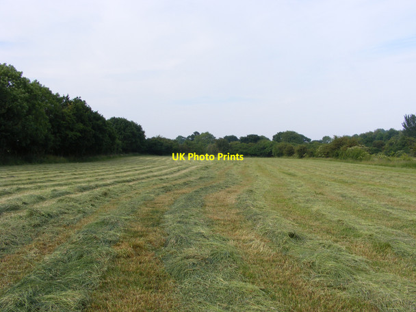 Photo 6"x4" Meadow near the East Suffolk Line Westhall\/TM4181 c2010