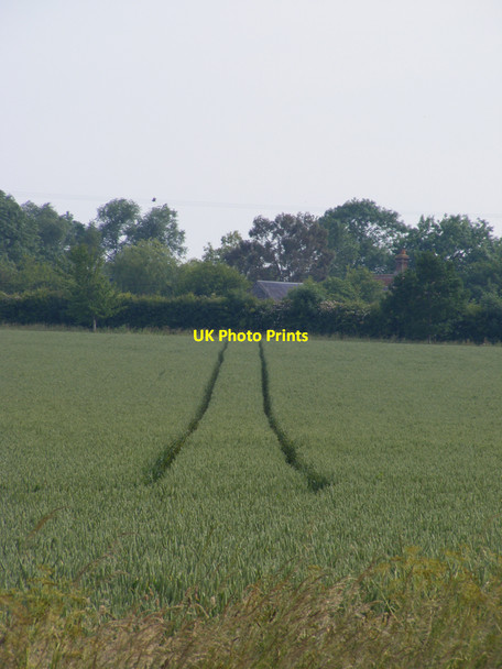 Photo 6"x4" Wheel tracks in the field near Wangford Road Westhall\/TM4181 c2010
