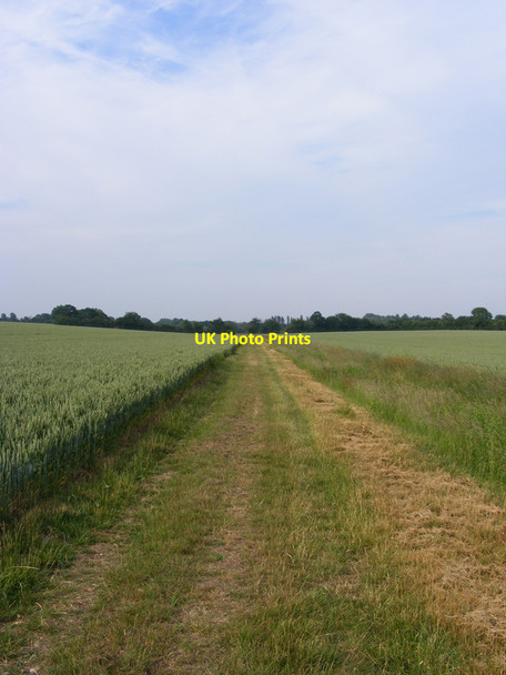 Photo 6"x4" Footpath and farm track between the fields Westhall\/TM4181 c2010