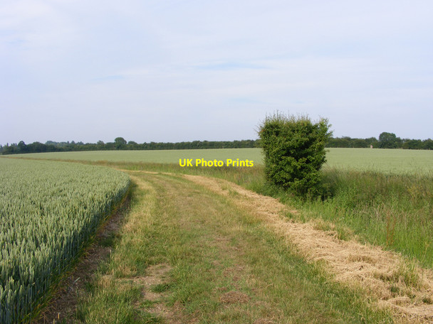 Photo 6"x4" Farm track and stream between the fields Westhall\/TM4181 c2010