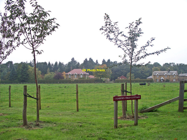 Photo 6"x4" View across farmland at Blagdon Estate Shotton\/NZ2278 c2010