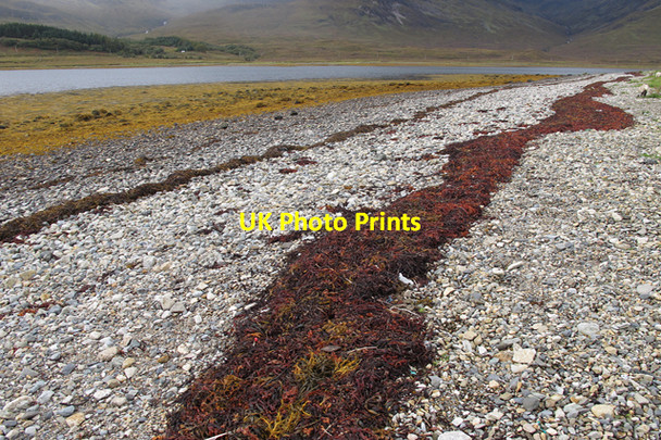 Photo 6"x4" Pebble beach Loch Slapin Torrin\/Na Torrin c2010