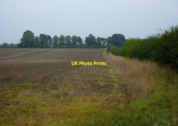 Photo 6"x4" Field south of Torworth Torworth c2010