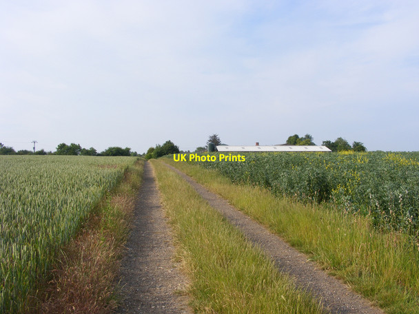 Photo 6"x4" Farm track approaching Shingle Hall Redisham c2010