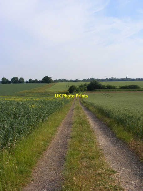 Photo 6"x4" Footpath towards Cox Common Redisham c2010