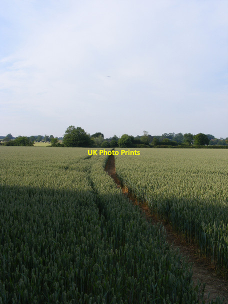 Photo 6"x4" Footpath to Redisham Redisham c2010