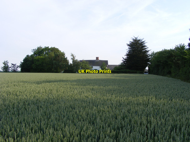 Photo 6"x4" Shingle Hall from across the fields Redisham c2010