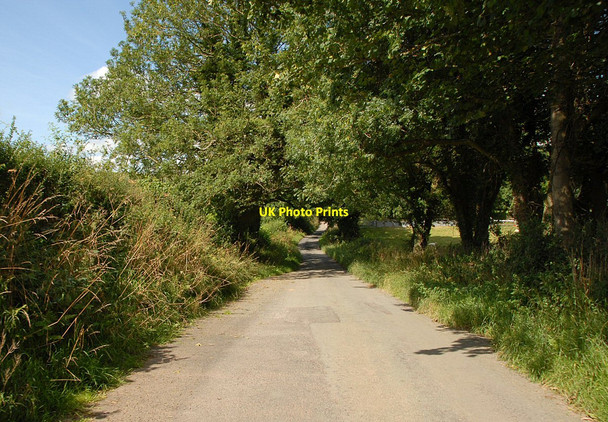 Photo 6"x4" Narrow lane Llandegla c2010