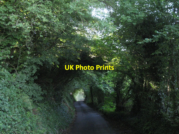 Photo 6"x4" Ashill descends to Bishopsteignton Ash Hill\/SX9173 c2010