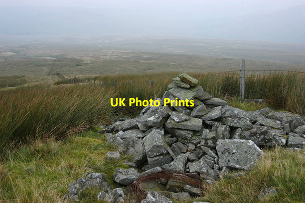 Photo 6"x4" Richard Man Ease Gill\/SD6881 c2010