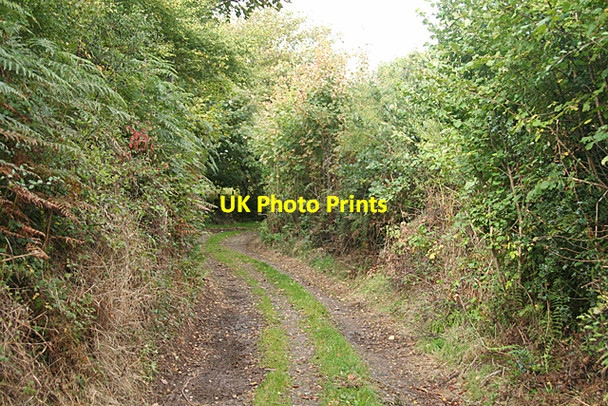 Photo 6"x4" Moretonhampstead: track on Cranbrook Down Moretonhampstead c2010