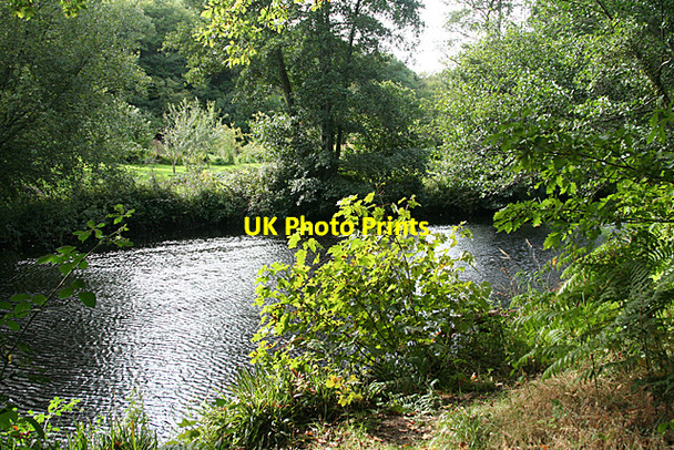 Photo 6"x4" Dunsford: the Teign Butts\/SX8089 c2010