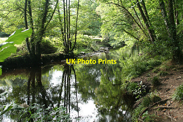 Photo 6"x4" Dunsford: the Teign above Steps Bridge Butts\/SX8089 c2010
