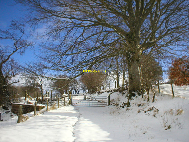 Photo 6"x4" Lane to the quarry in snow Cwmann c2010