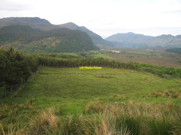 Photo 6"x4" Glen Ling Killilan c2010