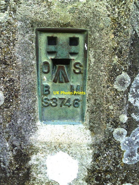 Photo 6"x4" Benchmark (flush bracket number S3746) on trig pillar on Coppet Hill Moorbath c2010