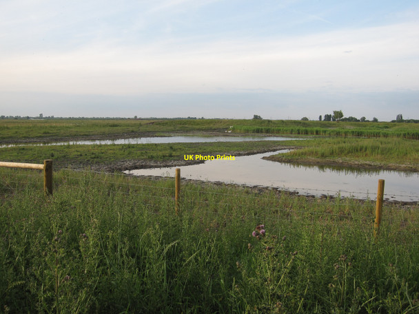 Photo 6"x4" Tubney Fen Reach\/TL5666 c2010