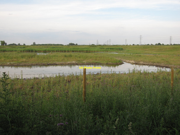 Photo 6"x4" Tubney Fen Reach\/TL5666 c2010 P1