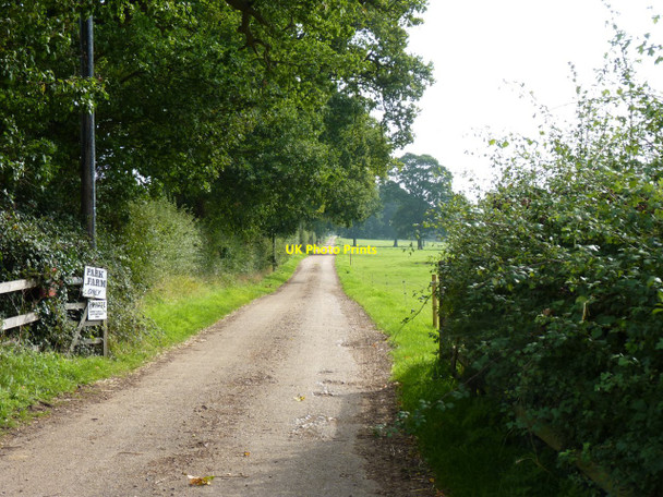 Photo 6"x4" The road to Park Farm Kimberley\/TG0704 c2010