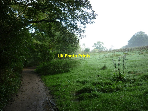 Photo 6"x4" Meanwood Valley Trail, Meanwood Park, Leeds Adel c2010