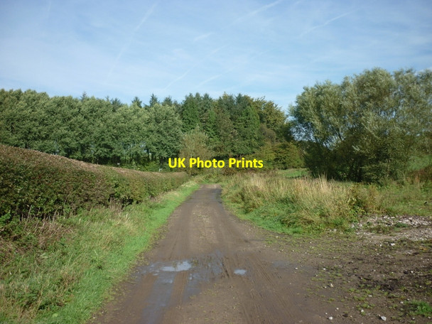Photo 6"x4" Approaching Eccup Moor Road Eccup c2010
