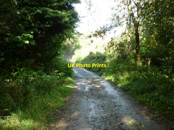 Photo 6"x4" Village Road, Eccup Eccup c2010
