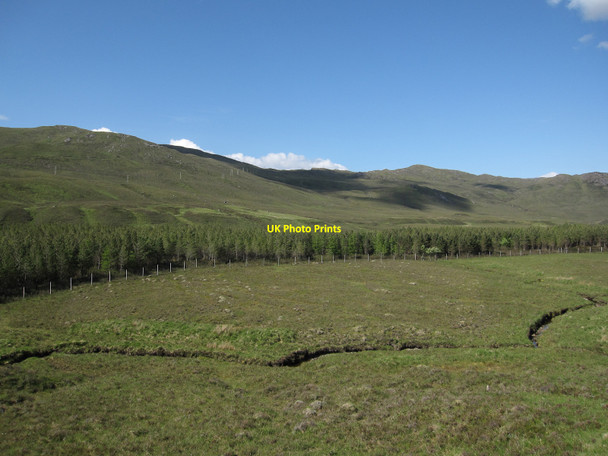 Photo 6"x4" Plantation in Glen Ling Killilan c2010