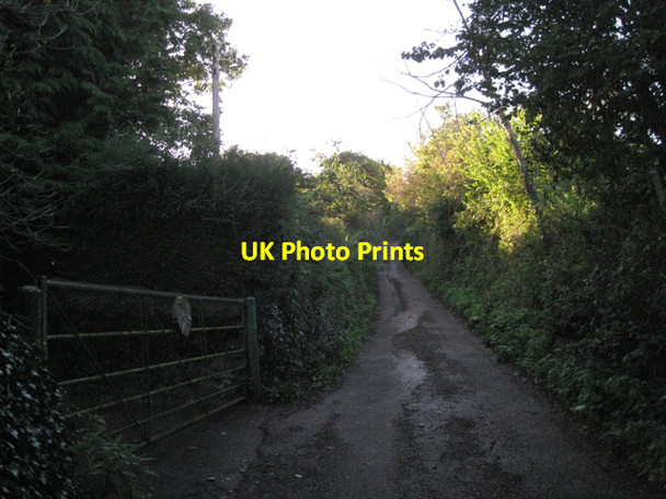Photo 6"x4" The Lea climbs away from Teignmouth Teignmouth c2010