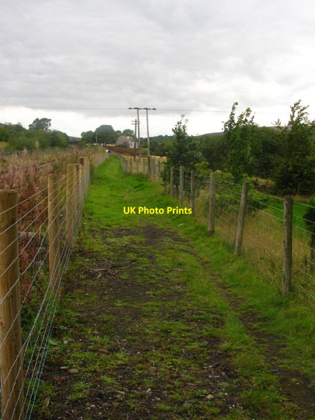 Photo 6"x4" Path by the Railway Blaenavon c2010