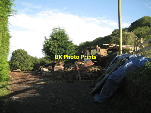 Photo 6"x4" Coombe Orchard Ash Hill\/SX9173 c2010