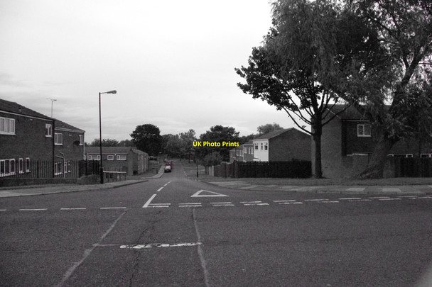 Photo 6"x4" Newbiggin Hall Kenton Bankfoot c2010