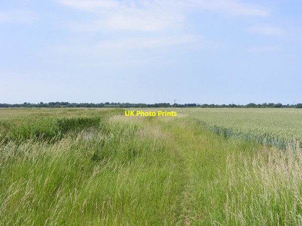 Photo 6"x4" Footpath across Haddiscoe Marshes St Olaves c2010